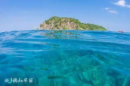 《资治通鉴》武帝卷34-敢于冲撞上级的人，未必就是能力强！