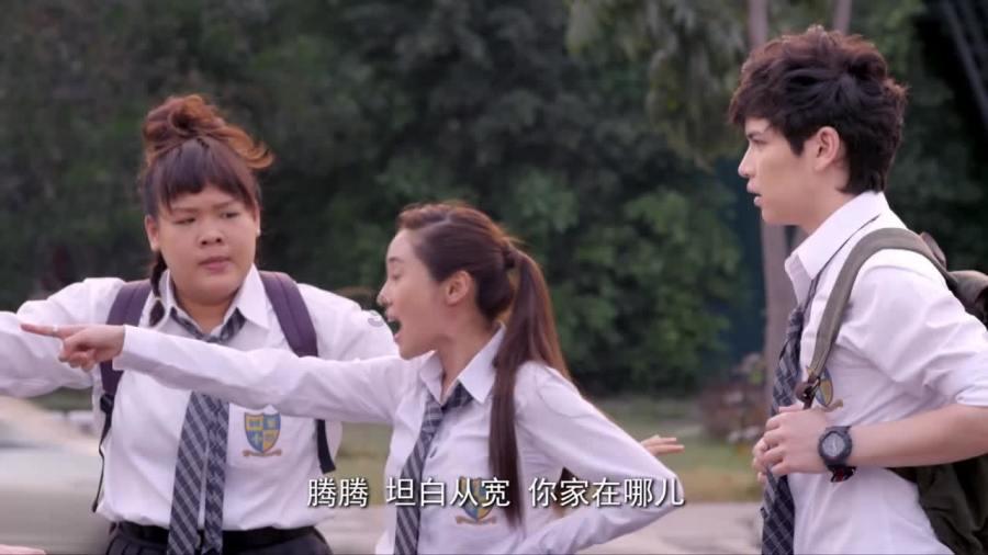 为什么我的栀子花每次都长三片叶子？游戏画面