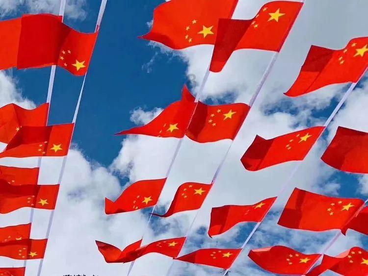 虫虫助手下载
